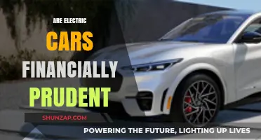 Electric Cars: A Financially Smart Choice or Costly Investment?