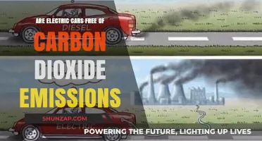 Electric Cars and Carbon Dioxide: Uncovering the Emissions Truth