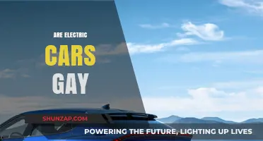 Are Electric Cars Gay? Debunking Stereotypes and Embracing Sustainability