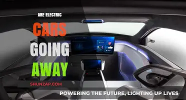 Are Electric Cars Here to Stay or Fading Away?