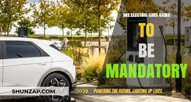 Will Electric Cars Become Mandatory? Exploring the Future of Transportation