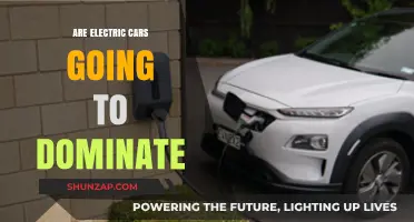 Electric Cars: The Future of Dominance on Global Roads?