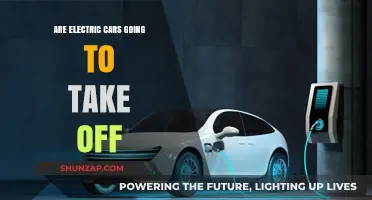 Electric Cars: The Future of Transportation or Just a Trend?