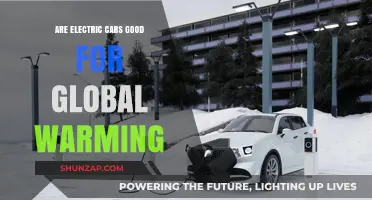 Electric Cars and Climate Change: A Sustainable Solution for Global Warming?