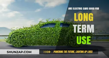 Electric Cars: Sustainable Long-Term Investment or Temporary Trend?
