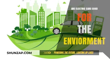 Electric Cars: Eco-Friendly Solution or Environmental Myth?