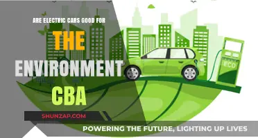Electric Cars vs. Environment: A Cost-Benefit Analysis Revealed