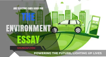 Electric Cars: Eco-Friendly Solution or Environmental Myth?