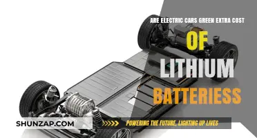 Are Electric Cars Truly Green? The Lithium Battery Cost Dilemma