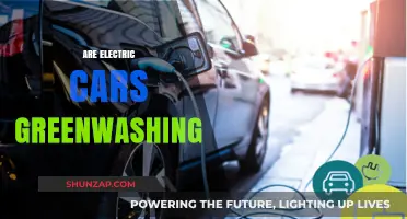 Electric Cars: Green Revolution or Clever Greenwashing Tactic?