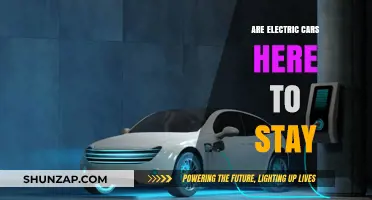 Electric Cars: A Passing Trend or the Future of Transportation?