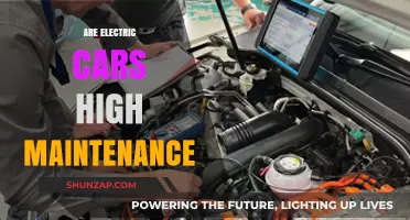 Electric Cars Maintenance: High Costs or Low Hassle?