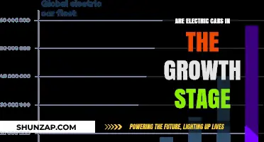 Electric Cars: Are They in the Growth Stage?
