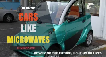 Electric Cars vs. Microwaves: Unraveling the Tech Myth Comparison