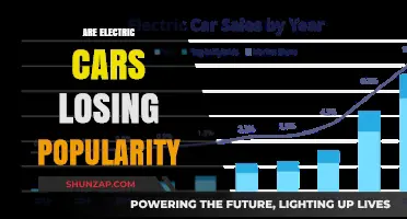 Are Electric Cars Losing Popularity? Trends and Consumer Sentiment