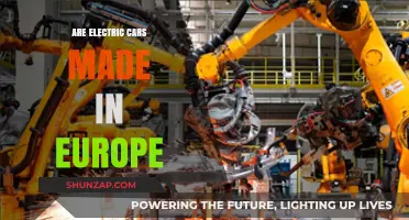 European Electric Car Manufacturing: Origins, Brands, and Production Insights