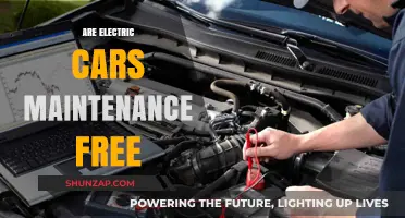 Electric Cars: The Truth About Maintenance-Free Ownership