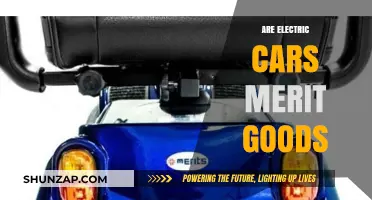 Electric Cars: Merit Goods or Market-Driven Innovation?