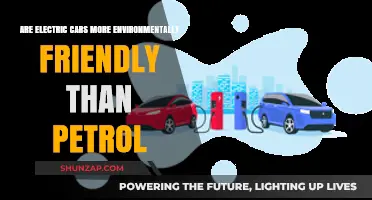 Electric vs. Petrol Cars: Uncovering the True Environmental Impact