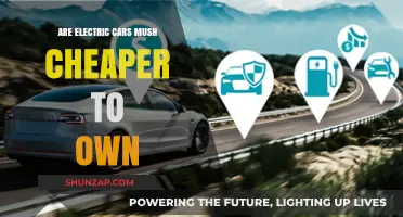 Electric Cars: Are They Truly Cheaper to Own in the Long Run?