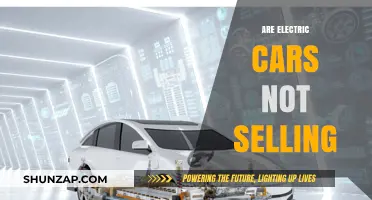 Why Electric Cars Struggle to Gain Traction in the Auto Market
