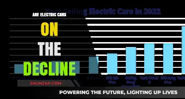Electric Cars: Are Sales Slowing Down or Shifting Gears?