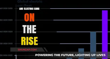 Electric Cars: Surging Popularity and the Future of Sustainable Transportation