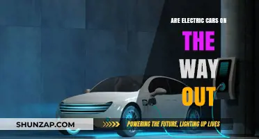 Are Electric Cars Losing Momentum? Exploring the Future of EVs