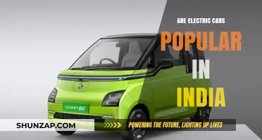 Are Electric Cars Gaining Traction in India's Auto Market?