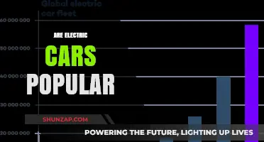 Are Electric Cars Popular? Exploring Their Rising Demand and Impact