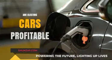 Are Electric Cars Profitable? Analyzing Costs, Benefits, and Long-Term Gains