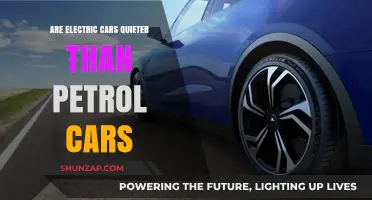 Electric vs. Petrol: Uncovering the Quieter Car Choice