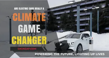 Electric Cars: Climate Savior or Overhyped Green Solution?