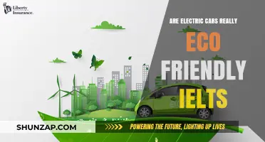 Are Electric Cars Truly Eco-Friendly? IELTS Debate Explored