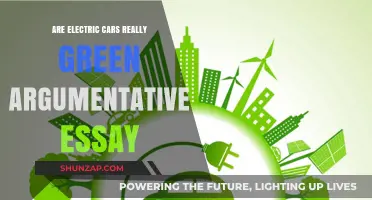 Are Electric Cars Truly Eco-Friendly? Debunking the Green Myth