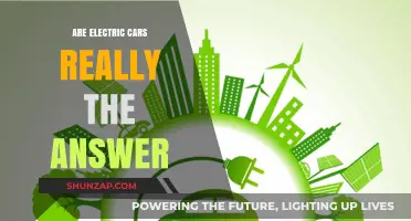 Electric Cars: The Ultimate Solution or Just a Green Illusion?