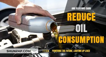 Electric Cars: A Game-Changer in Reducing Global Oil Consumption?