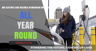 Electric Cars in Michigan: Reliable Performance in Extreme Weather Conditions?