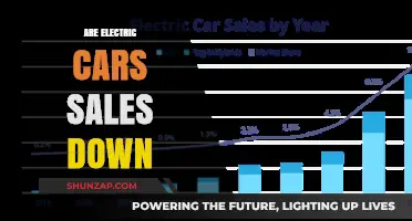 Electric Car Sales Slump: Analyzing the Decline in EV Demand