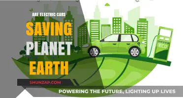 Electric Cars: Earth's Savior or Just a Green Illusion?