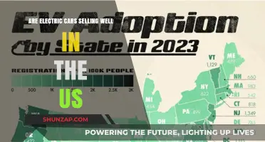 Electric Cars in the US: Sales Trends and Market Growth