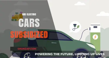 Are Electric Cars Subsidized? Exploring Government Incentives and Tax Breaks