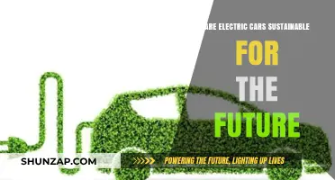 Electric Cars: A Sustainable Future or Environmental Myth?