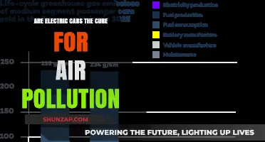 Electric Cars: The Ultimate Solution to Air Pollution?