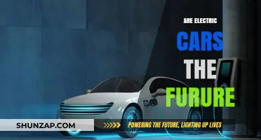 Electric Cars: The Future of Sustainable Transportation?