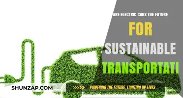 Electric Cars: The Sustainable Future of Transportation?