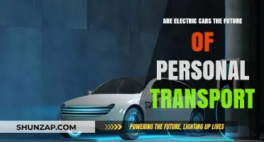 Electric Cars: Revolutionizing Personal Transport for a Sustainable Future?