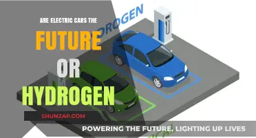 Electric vs. Hydrogen: Which Will Power Tomorrow's Sustainable Transportation?