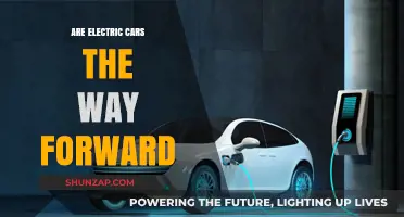 Electric Cars: The Future of Sustainable Transportation?