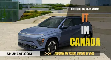 Are Electric Cars a Smart Investment for Canadians?